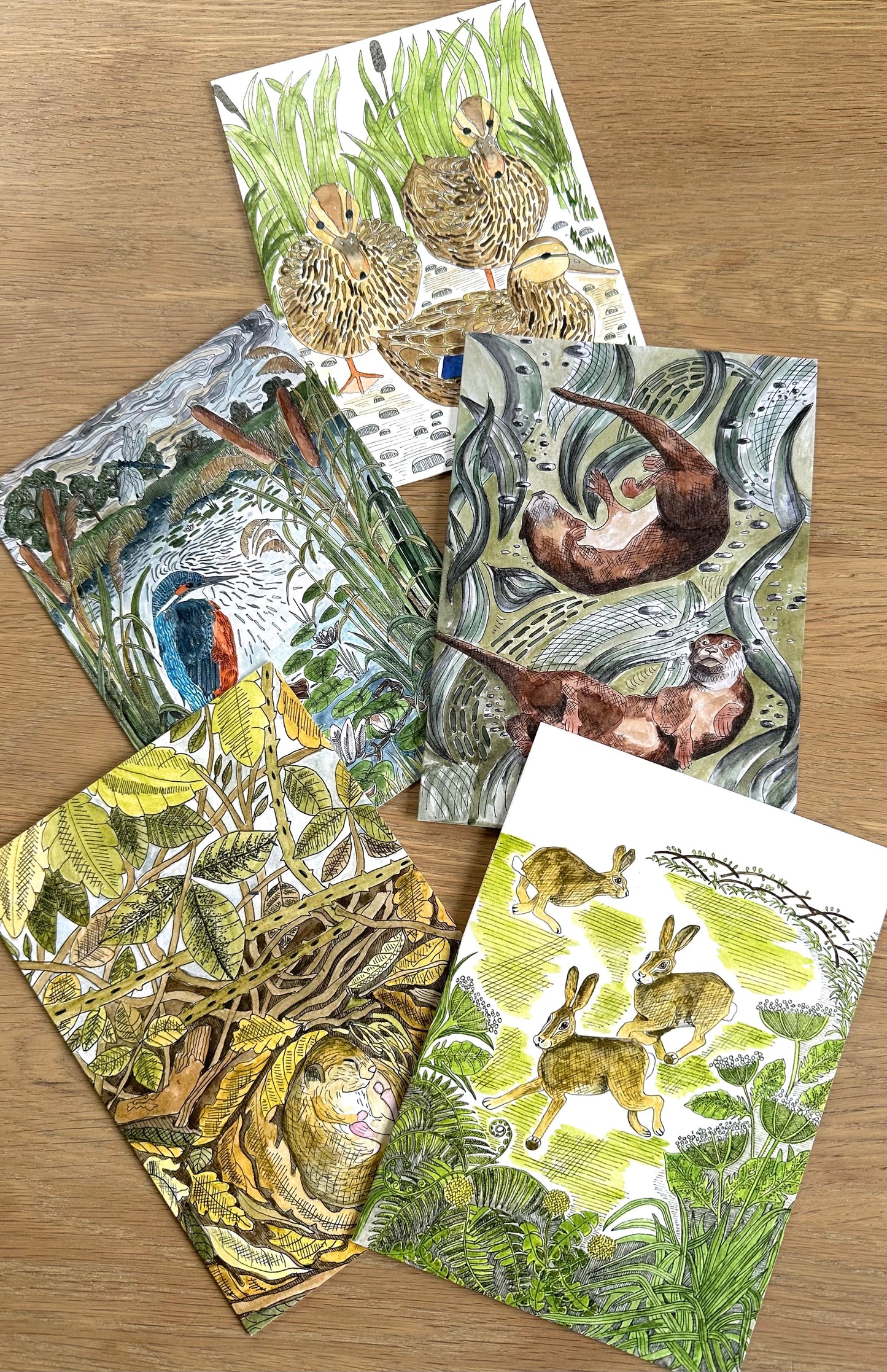 Mallard Ducks Greeting Card - British Wildlife & Coastal Design