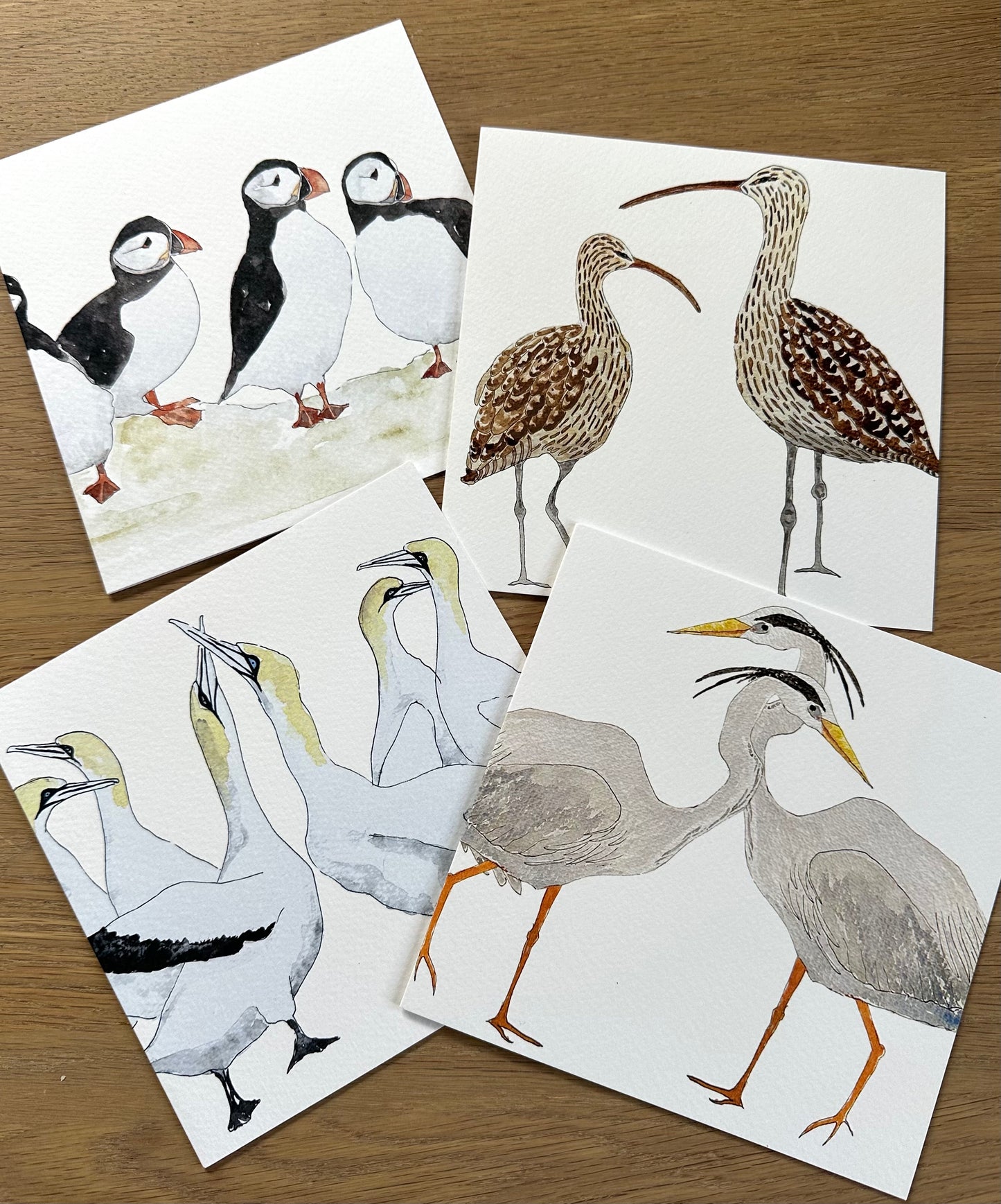 Curlew Greeting Card - British Wildlife & Coastal Illustration Design