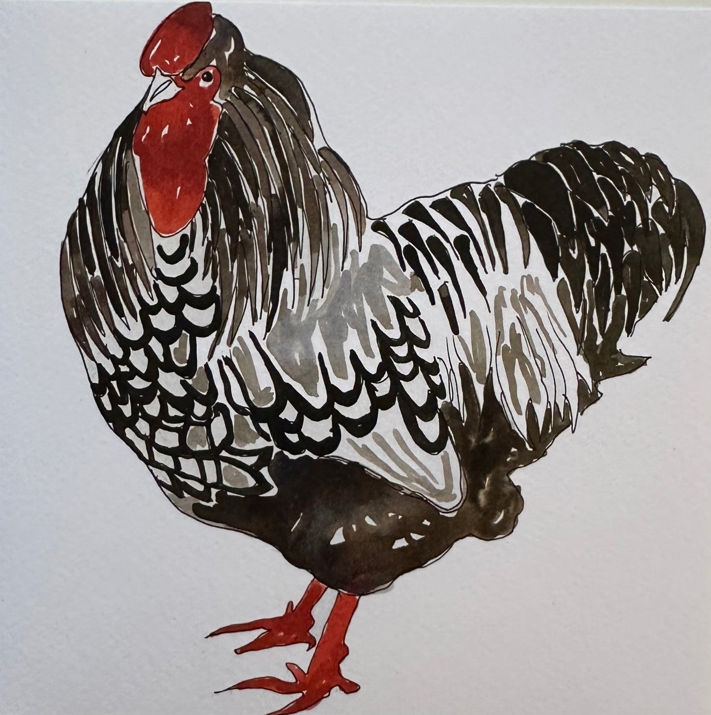 Cockerel Greeting Card - British Farmyard Bird Illustration Design