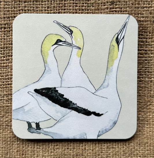 Coasters - Gannet