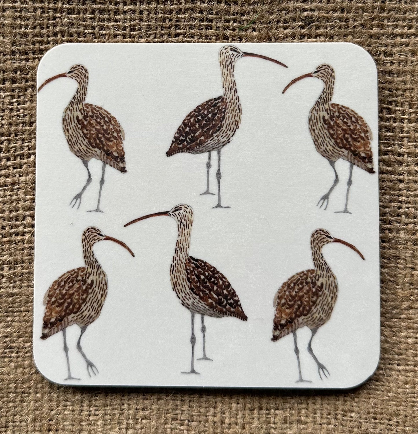 Coasters - Curlew