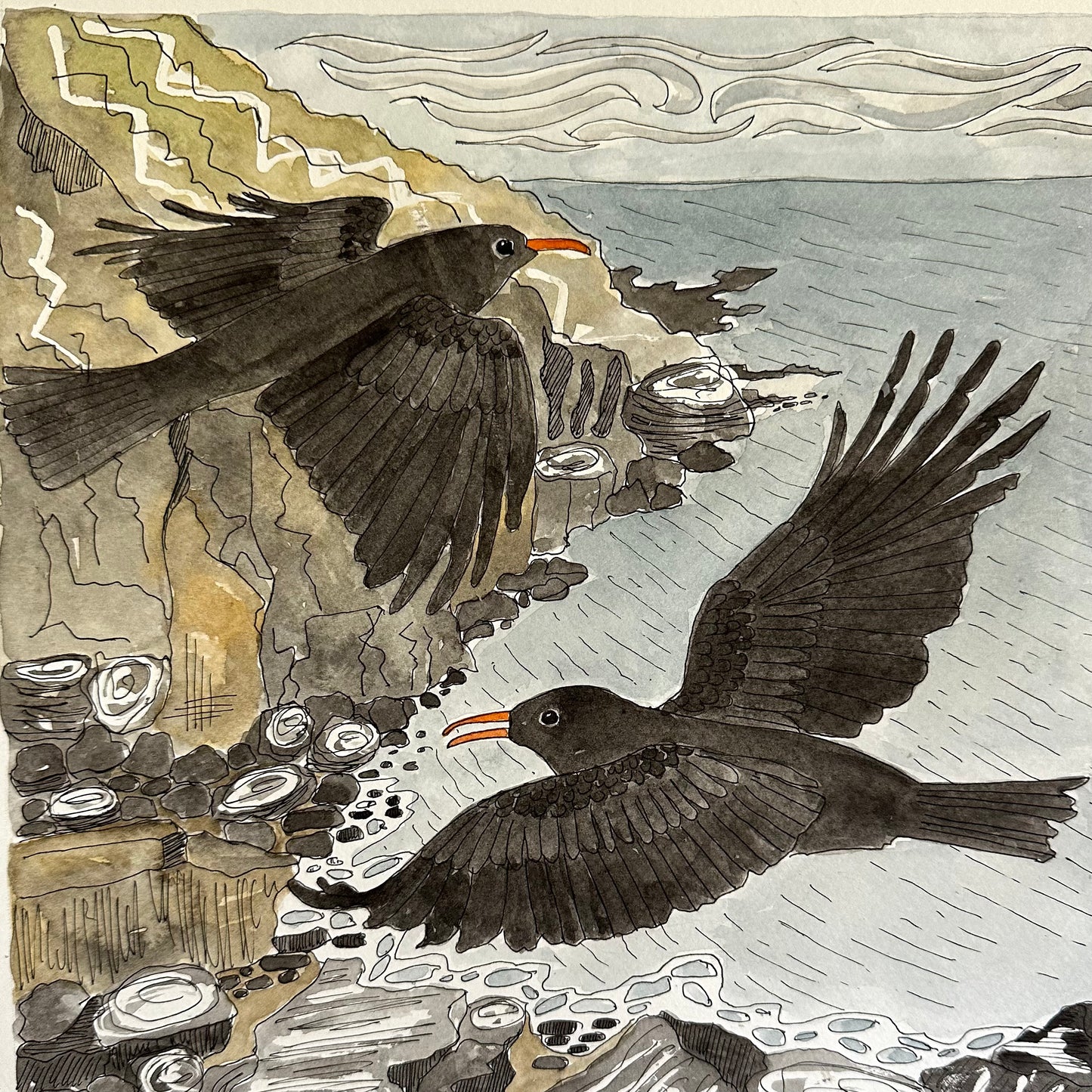 Clifftop Flight - Cornish Choughs Print