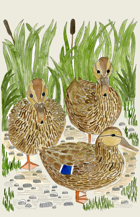 Mallard Ducks Tea Towel - Handcrafted British Wildlife Design