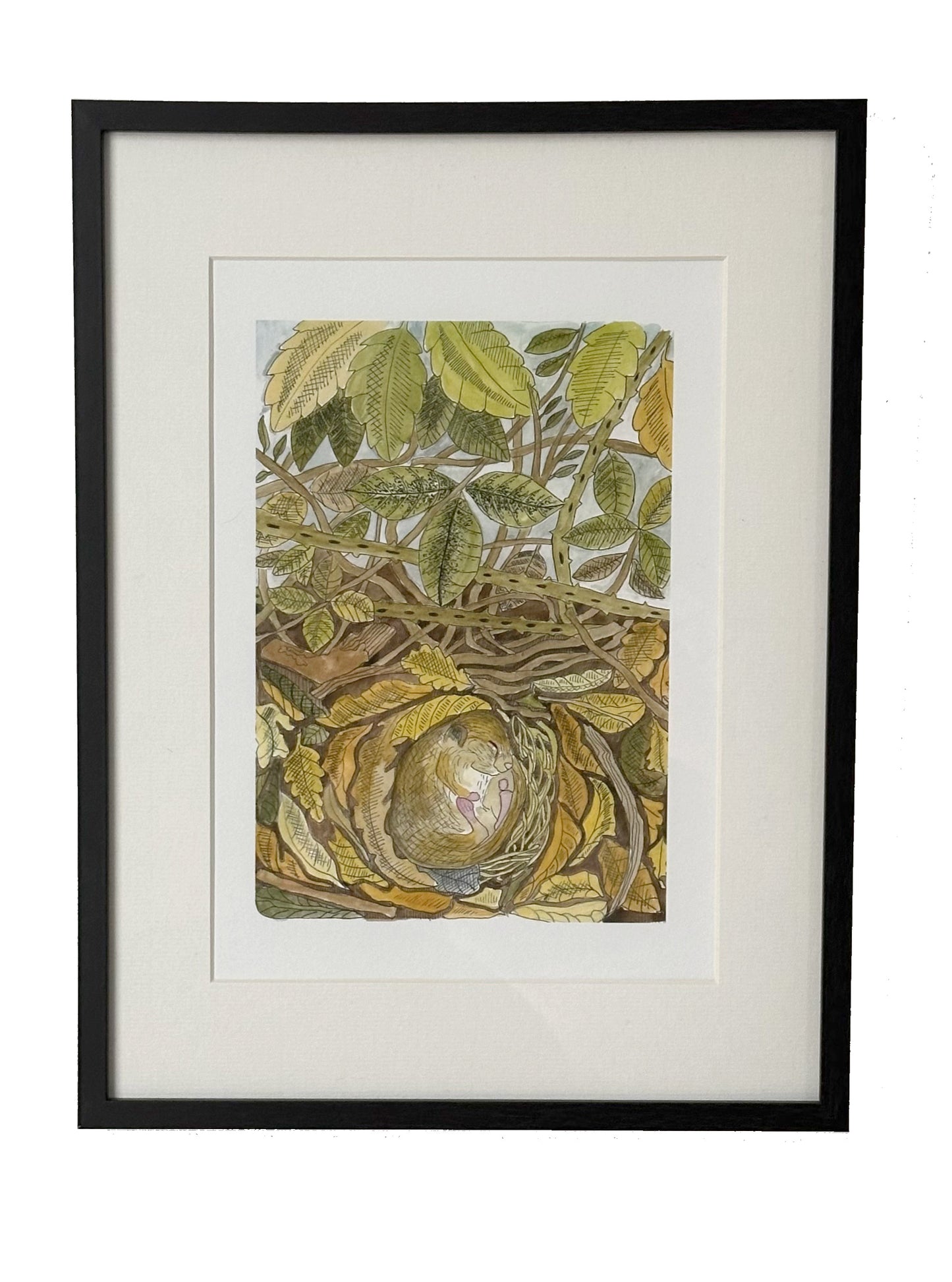 British Countryside Wildlife Print - Dormouse - Ideal Gift for Animal Lover