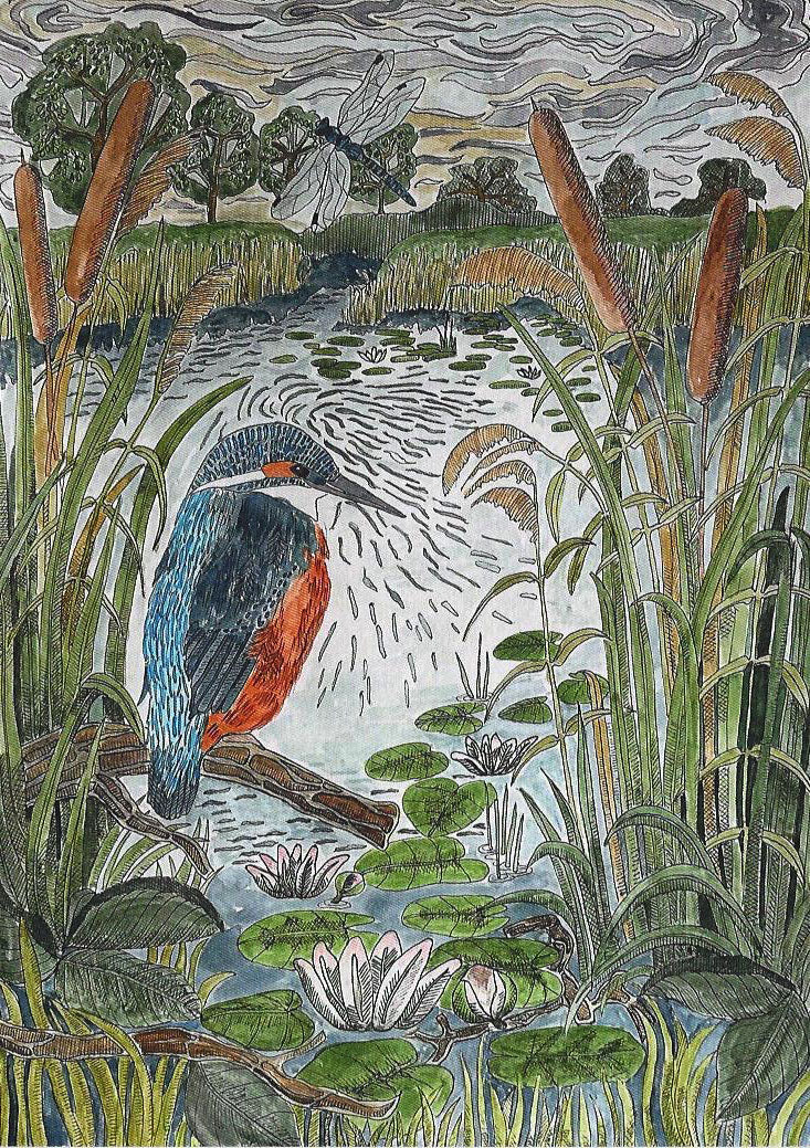 Kingfisher Greetings Card