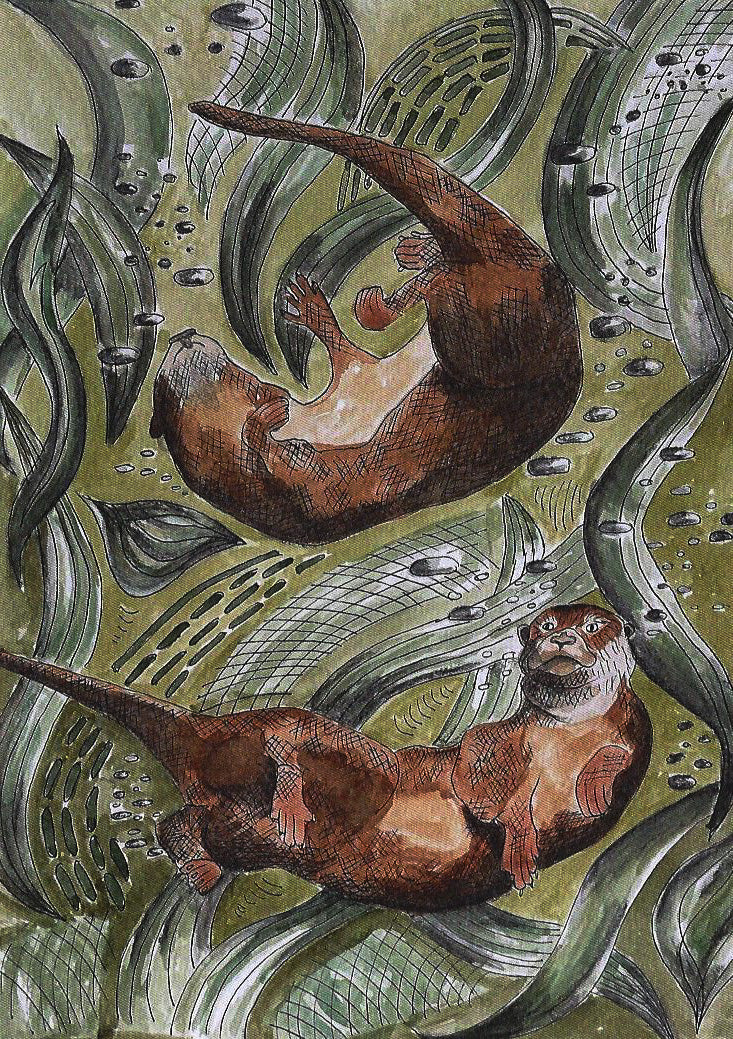 Otters Greeting Card