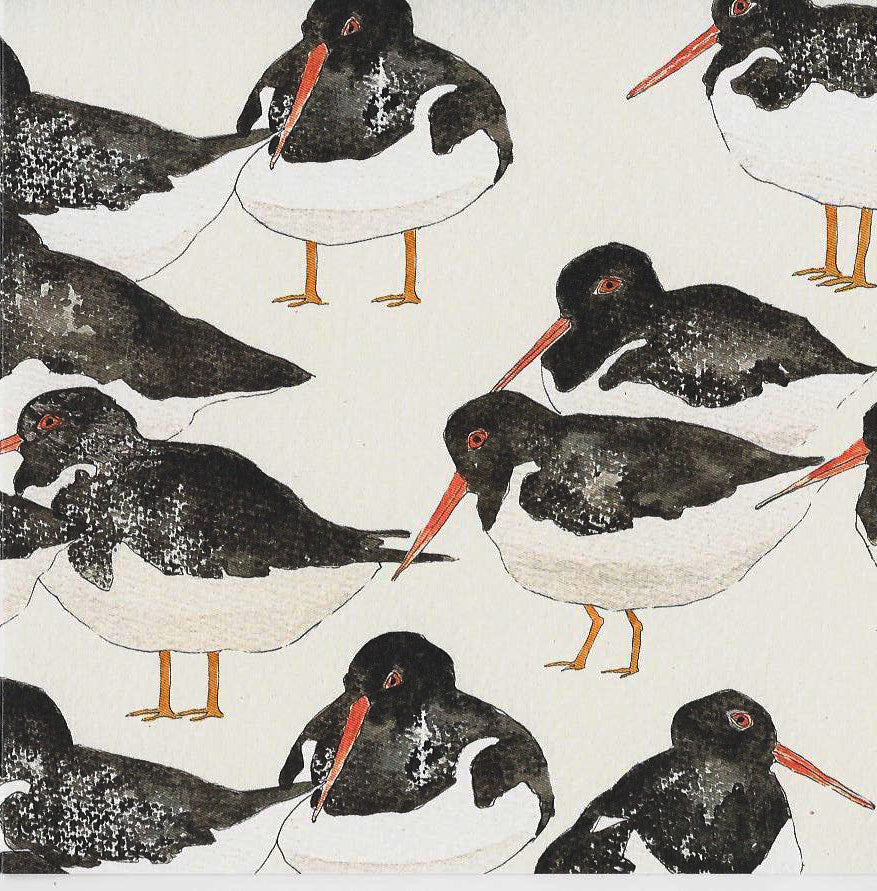 Greetings Card Bundle - Coastal Birds