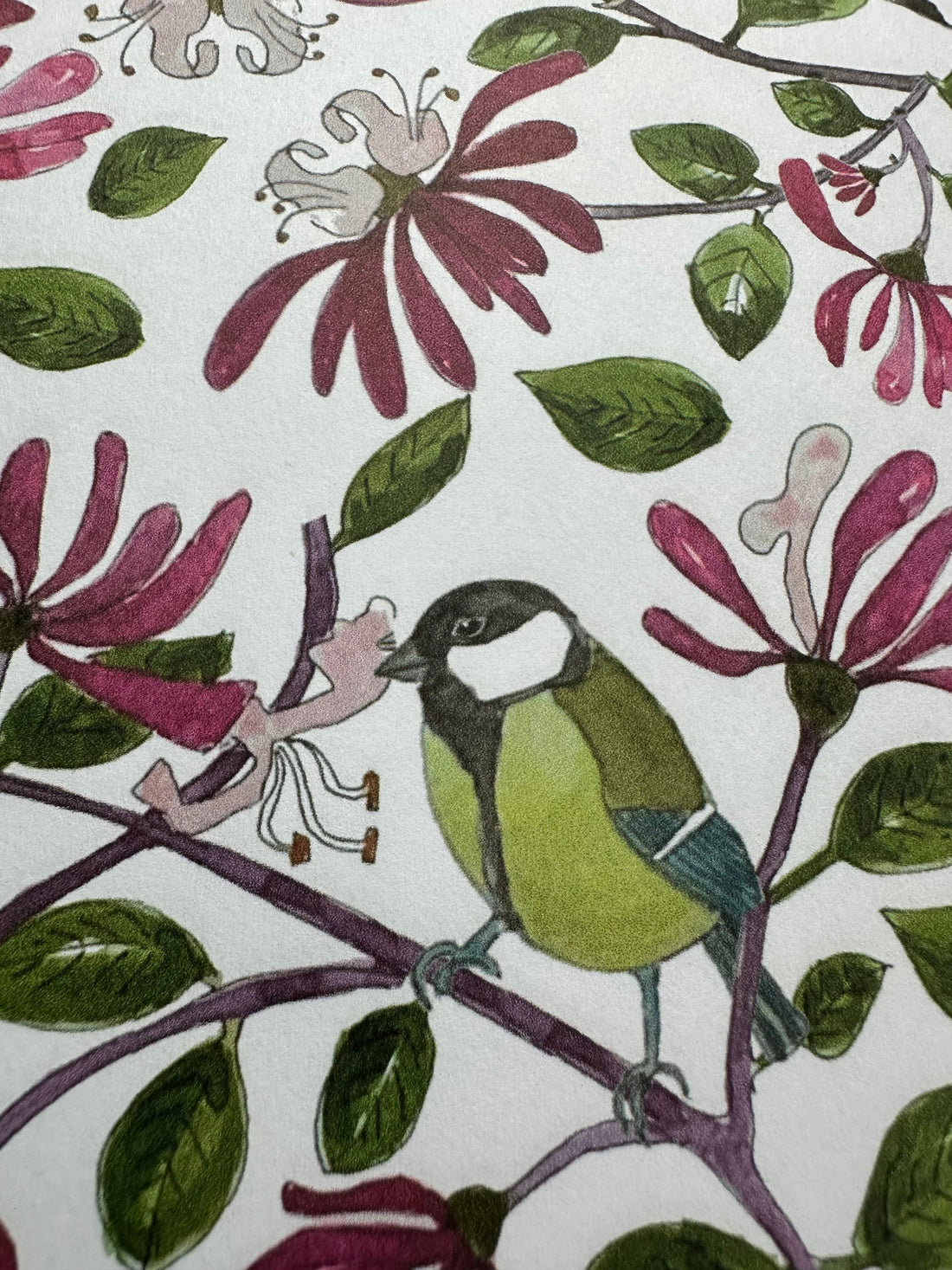 New Year, New Designs in the Making
