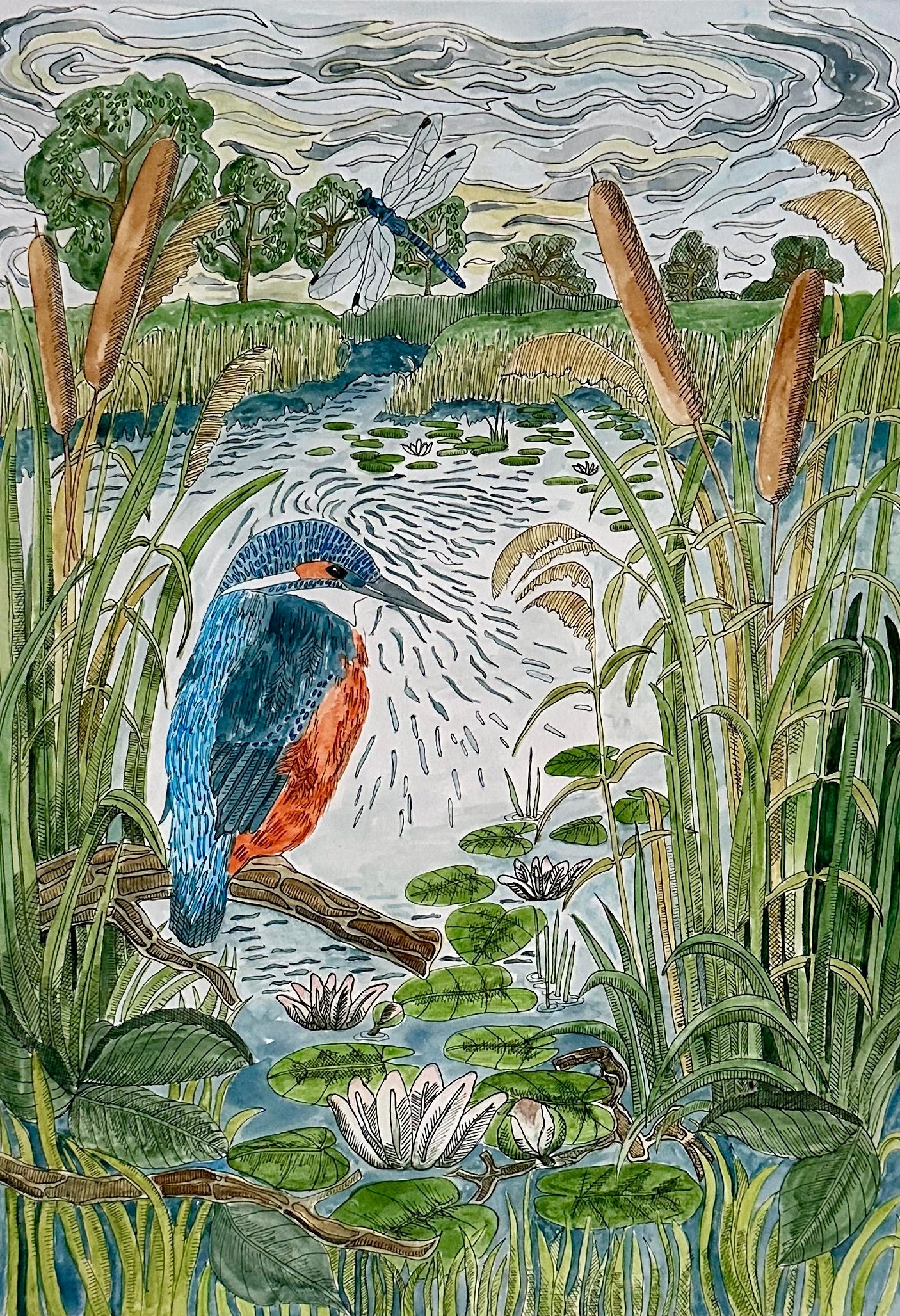 Wildlife Greetings Cards