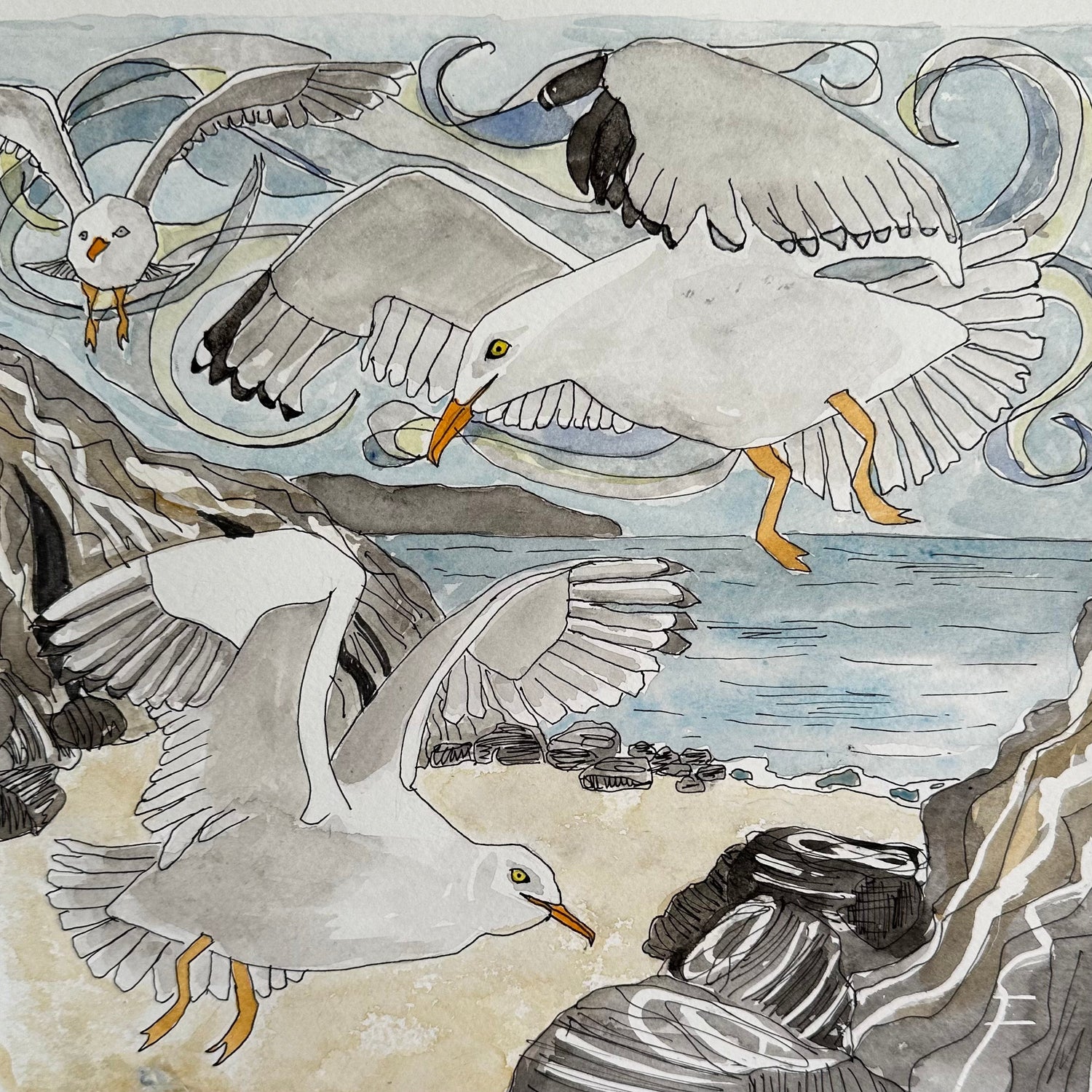 Coastal Print Collection