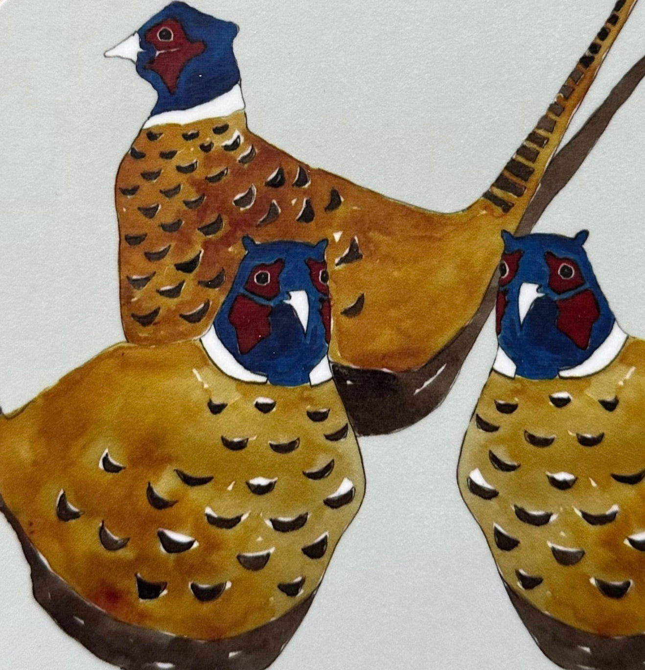 Woodland & Wild Garden