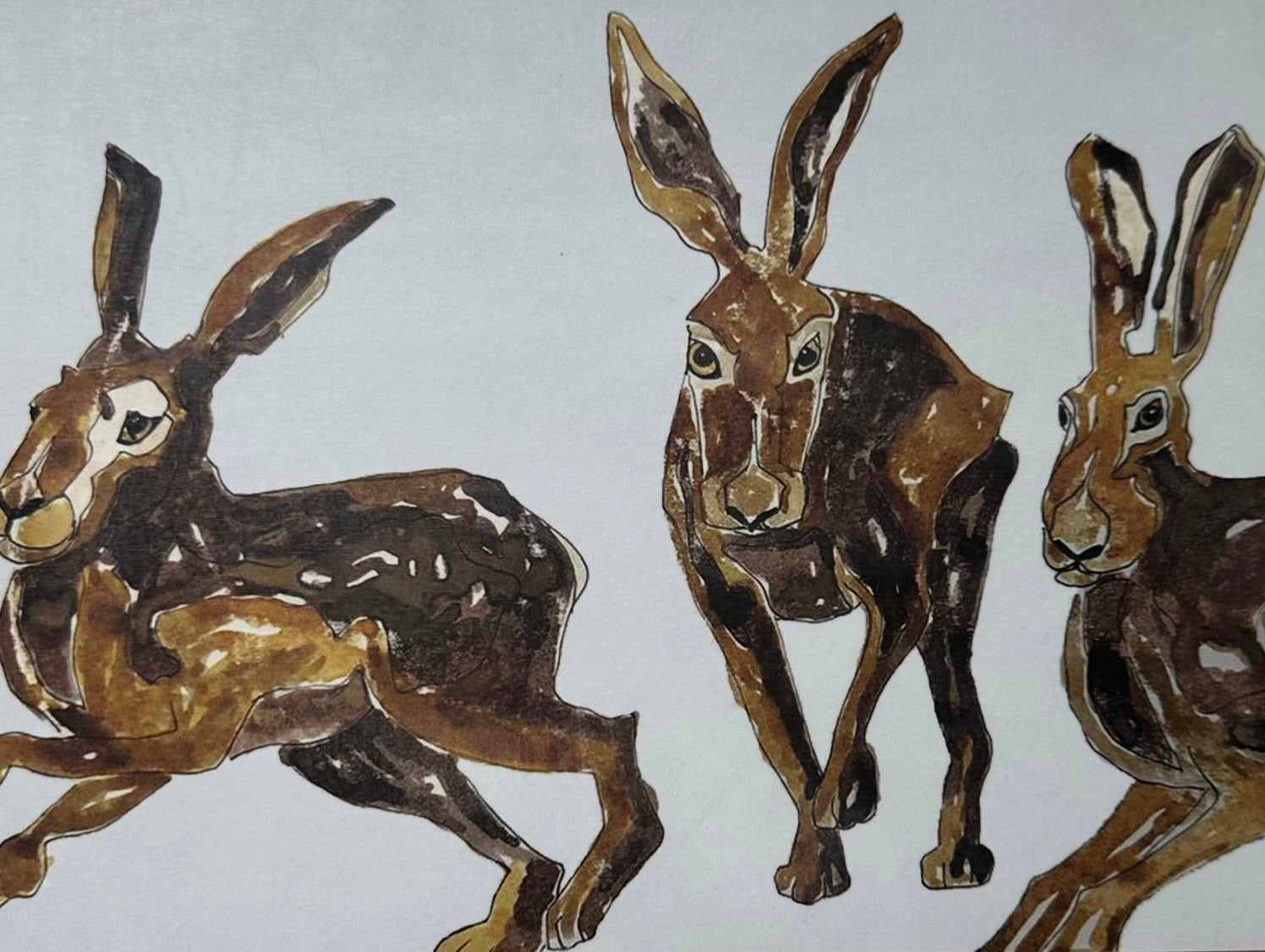 Countryside & Hedgerow