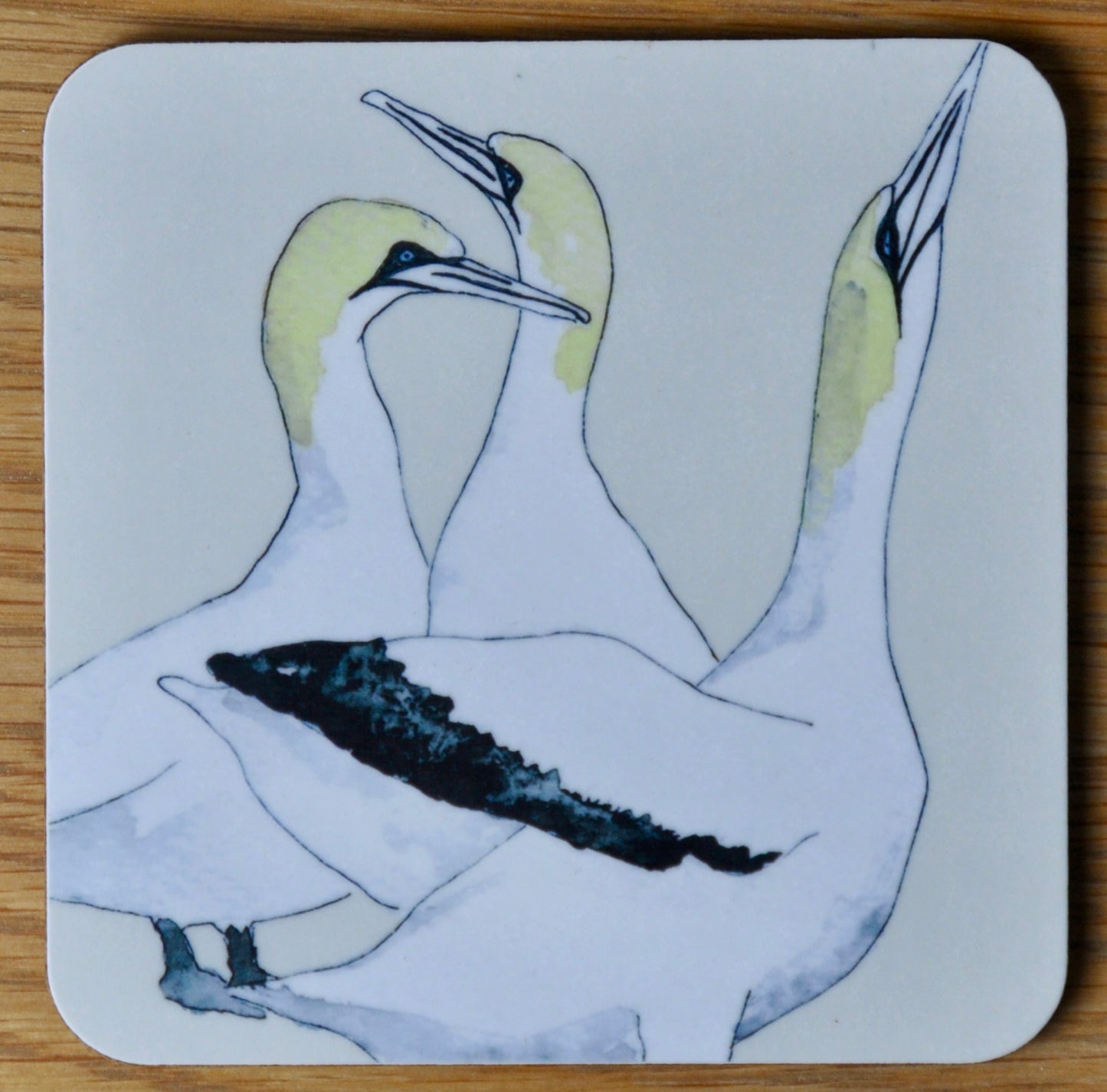 Gannet Coasters - Handcrafted British Seabird Design