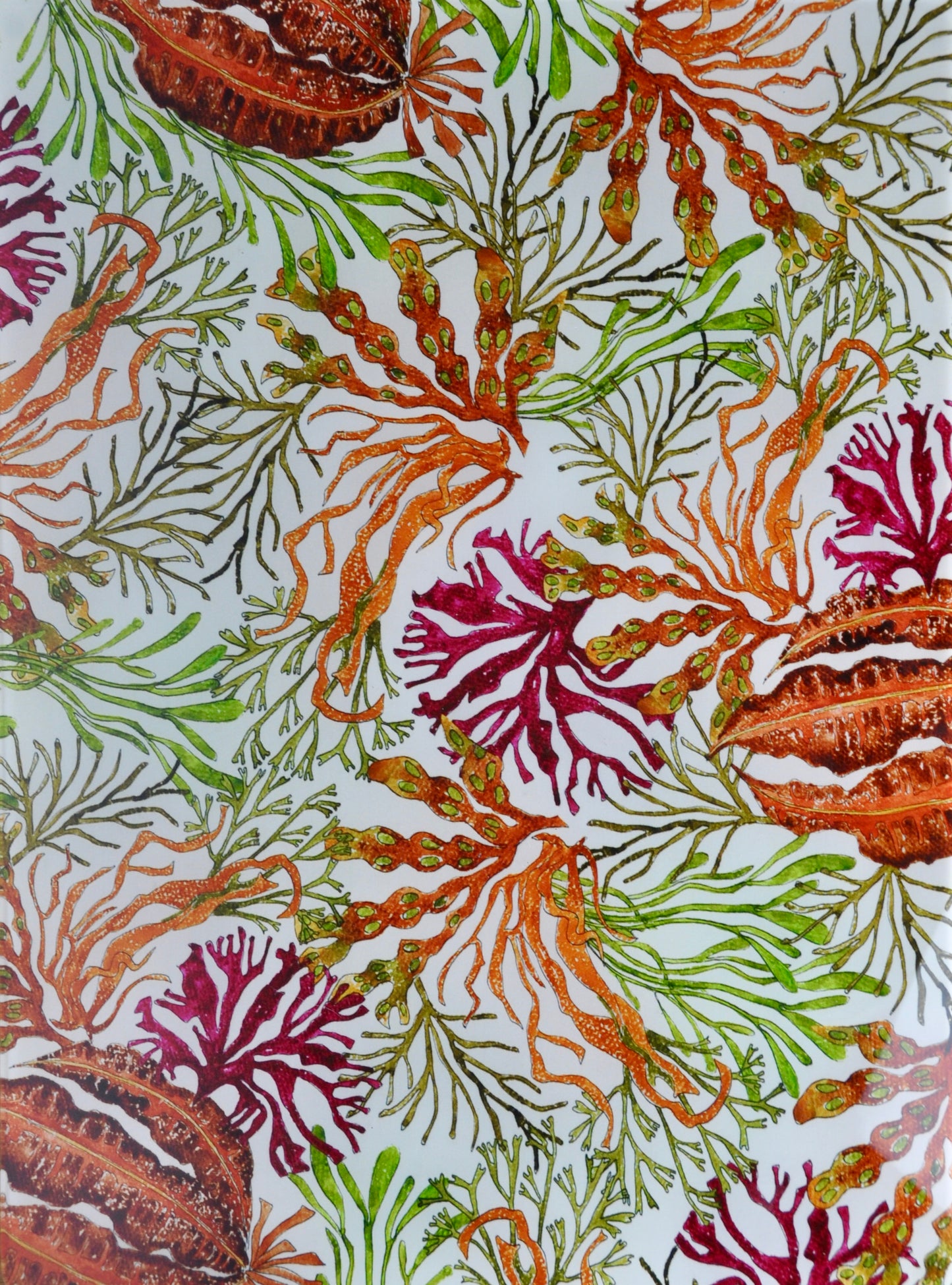 Sea Meadow - Toughened Glass Worktop Saver