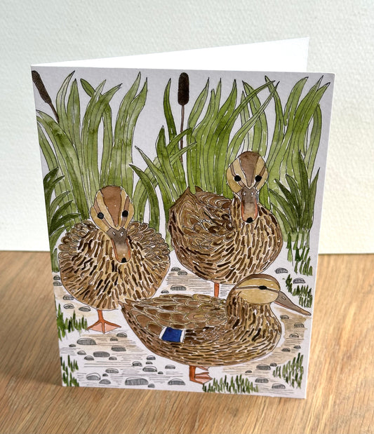 Mallard Ducks Greeting Card - British Wildlife & Coastal Design