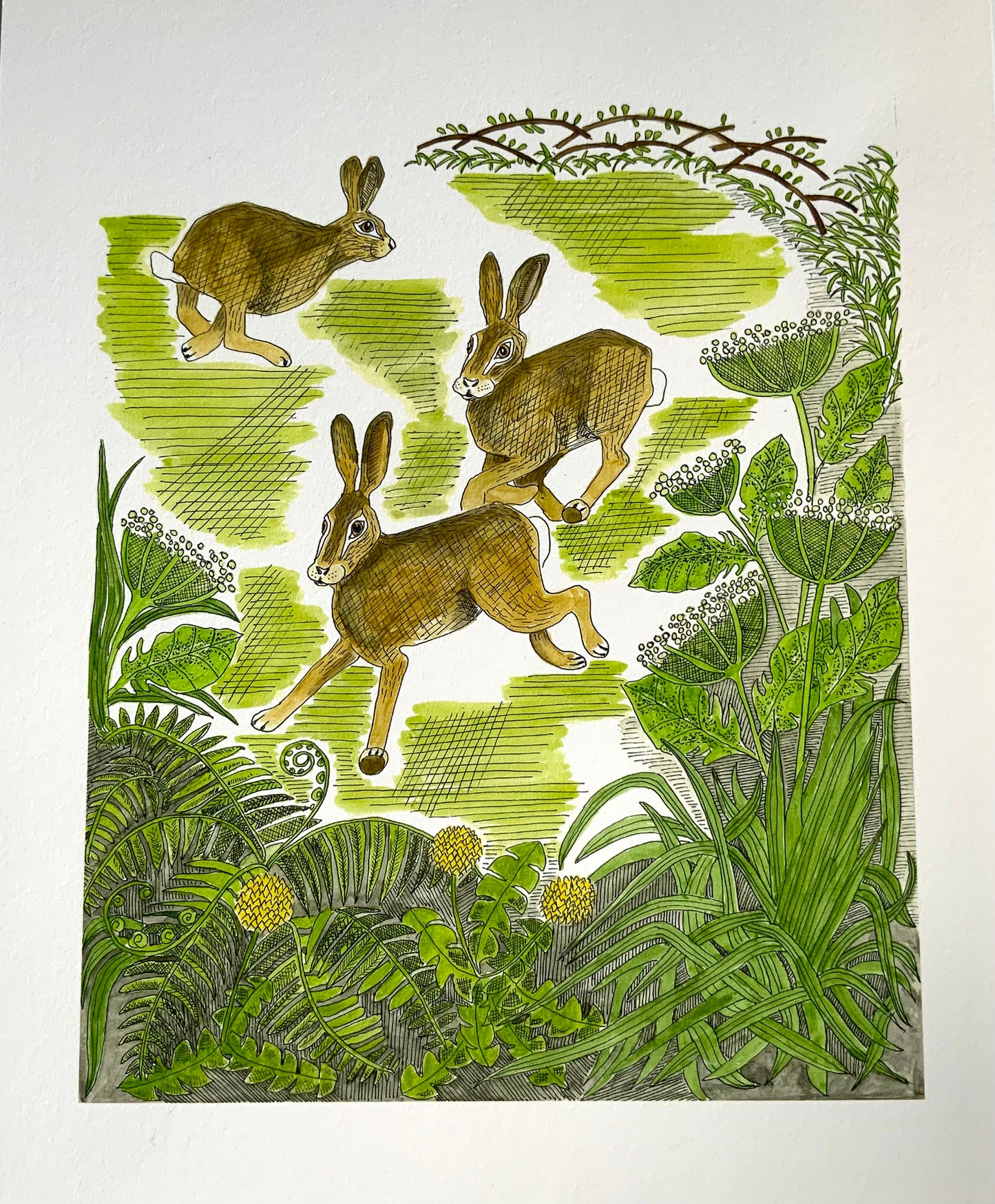 Frolicking Hares Print - British Wildlife Art - Gift for Animal Lover