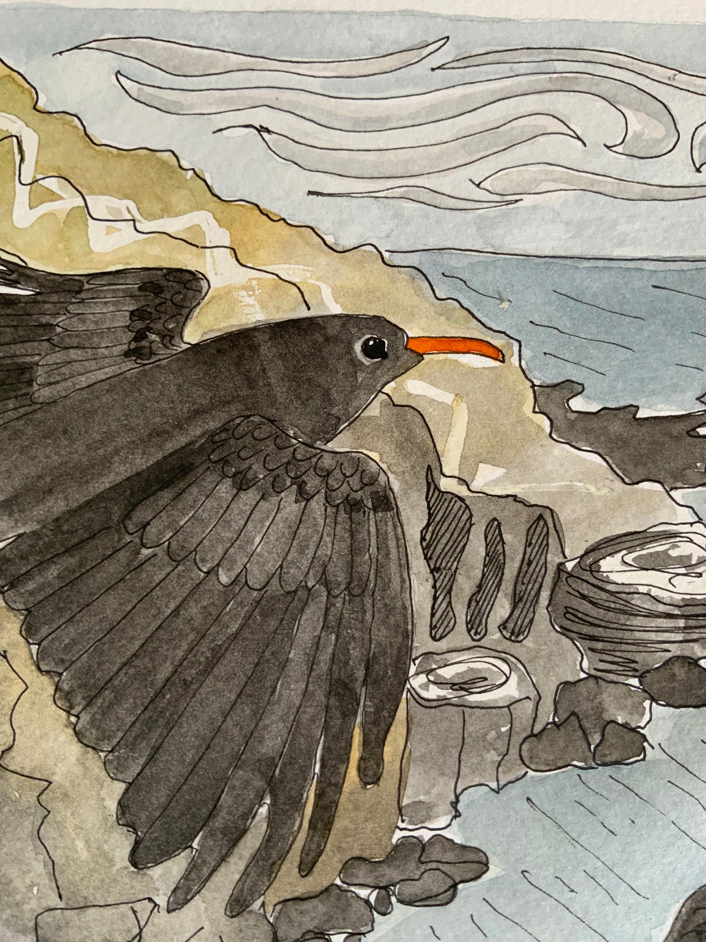 Clifftop Flight - Cornish Choughs  Print