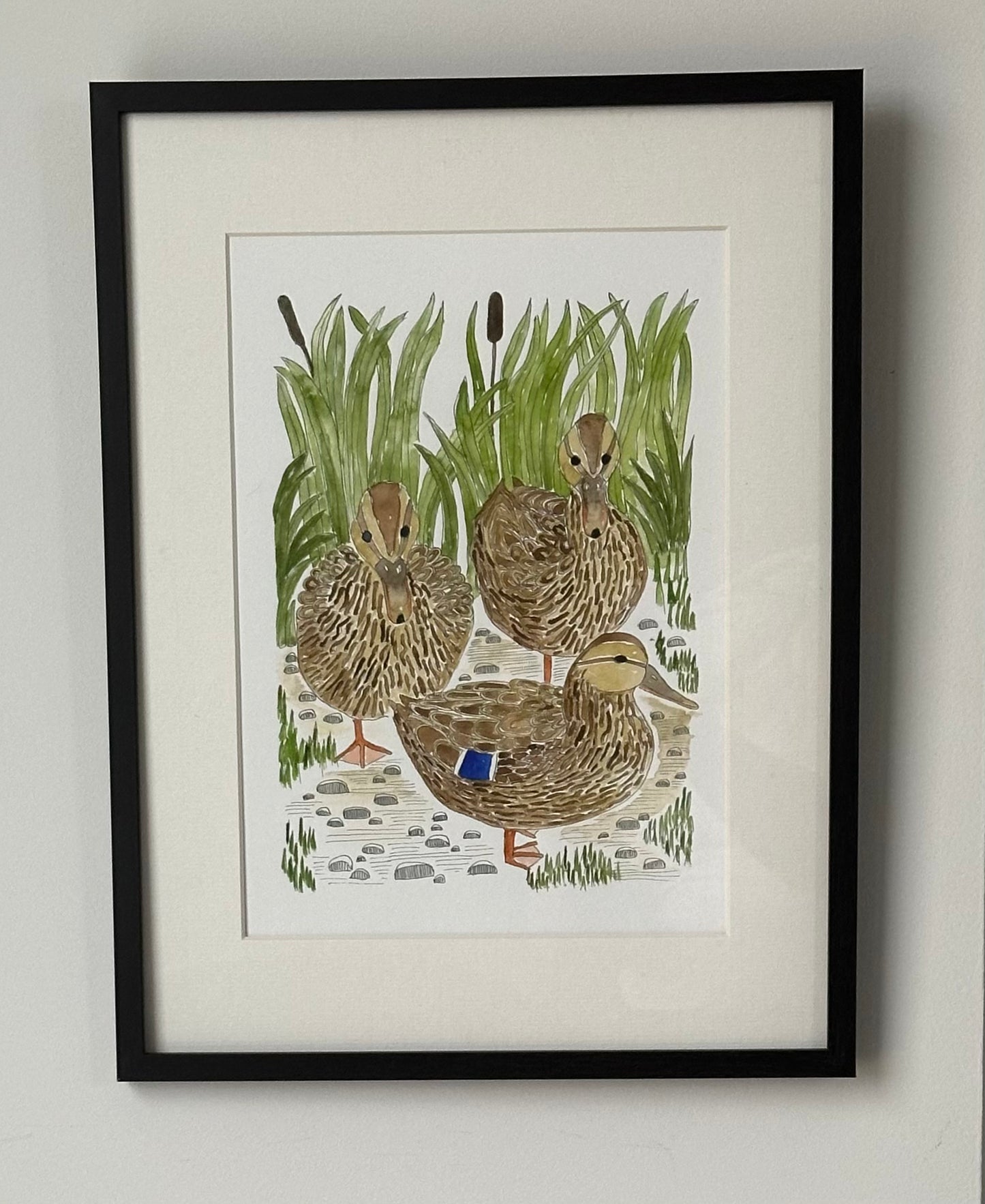 British Wildlife Art -  Mallard Duck Print - Gift for Bird Lovers