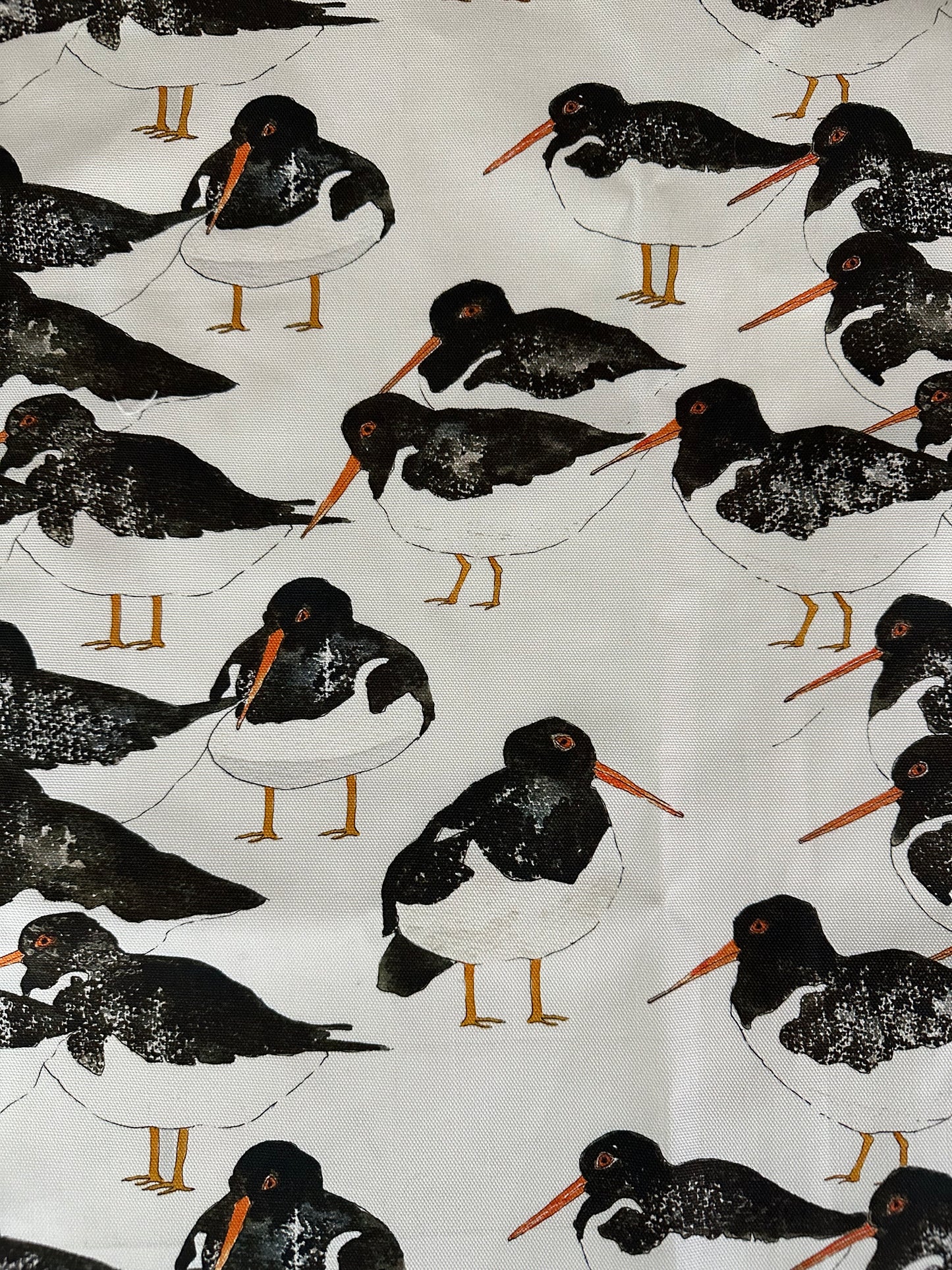 Oystercatcher Tea Towel