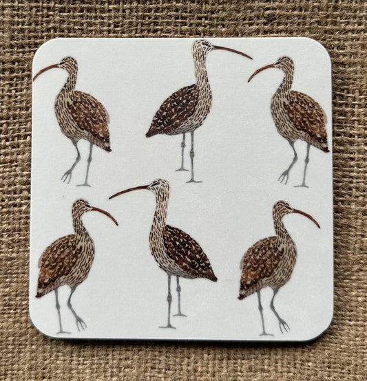 Coasters - Curlew