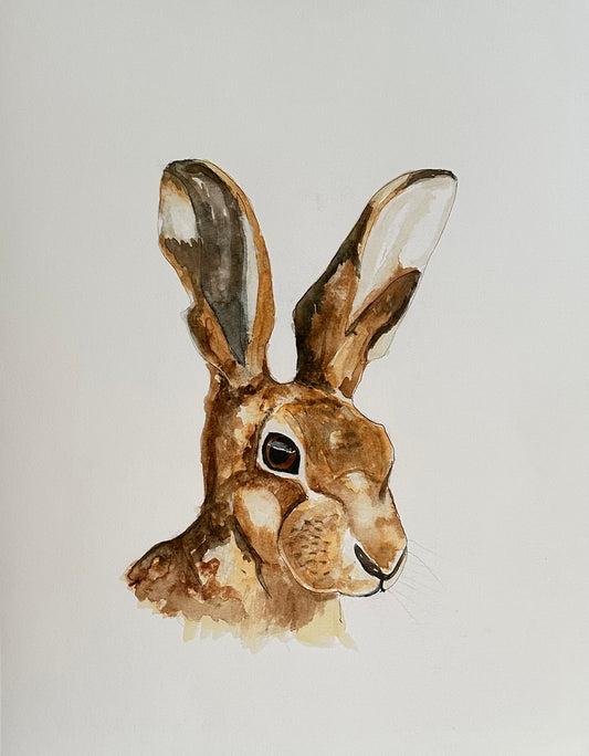 Hare Wall Art Print - British Wildlife Illustration - Nature Inspired Animal Artwork - UK Artist