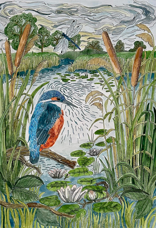 Kingfisher Wall Art Print - British Wildlife Illustration,  Nature Inspired Bird Artwork - UK made gift