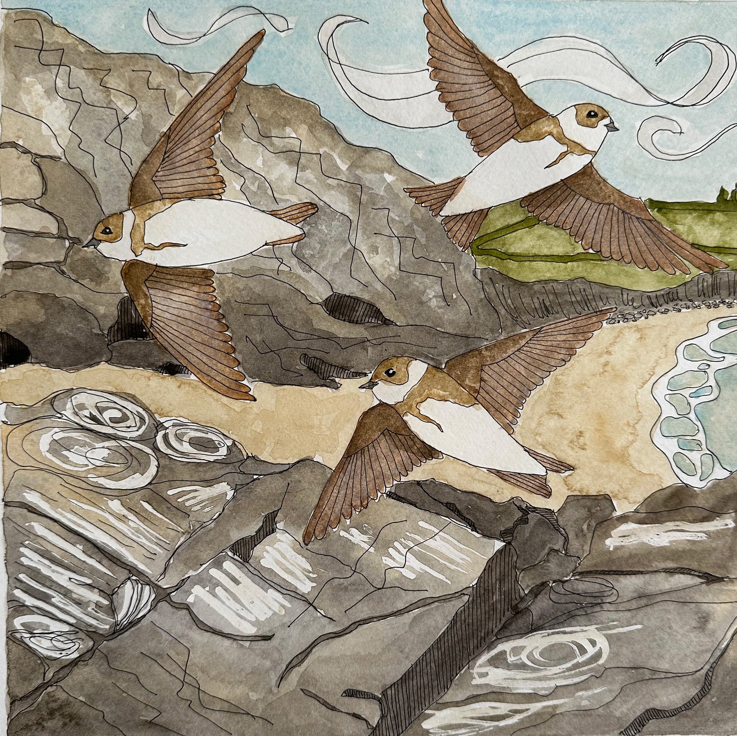 Sand Martins on the Cornish Coast Greetings Card