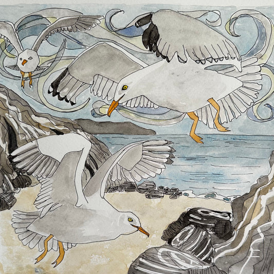 Cornish Flight - Cornish Gull Print