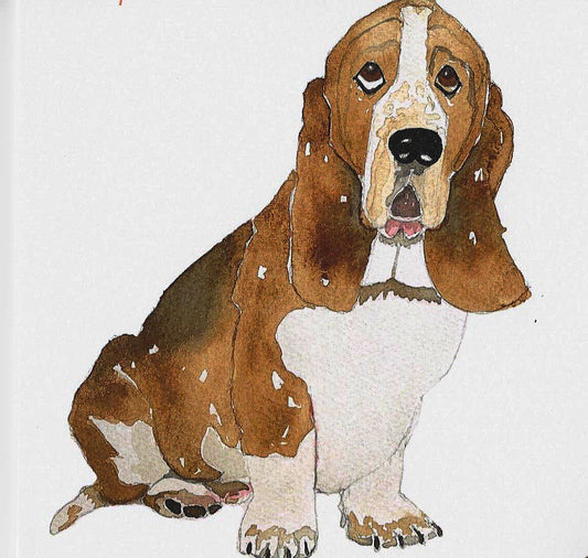 Bassett Hound Greeting Card