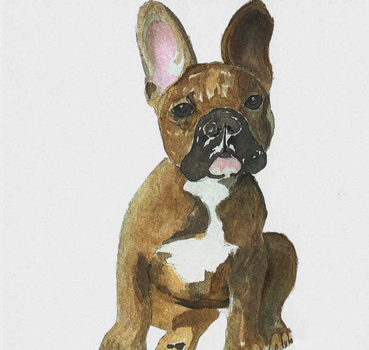 French Bulldog Greeting Card
