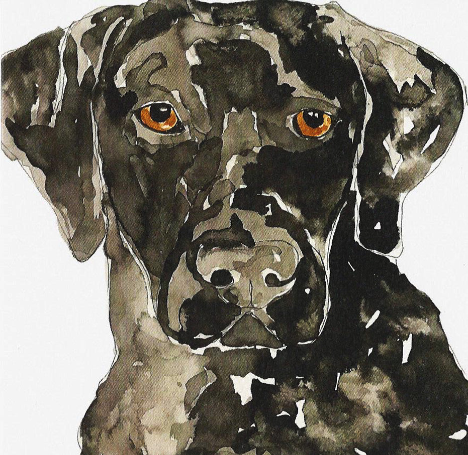 Greetings Cards Bundle - Dogs