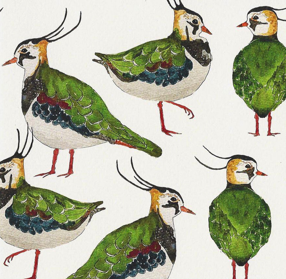 Lapwing Greeting Card