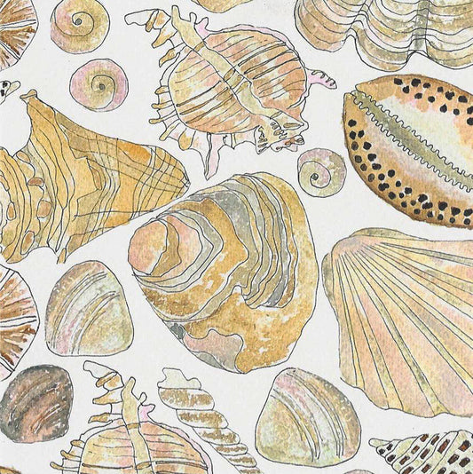 Shells Greeting Card