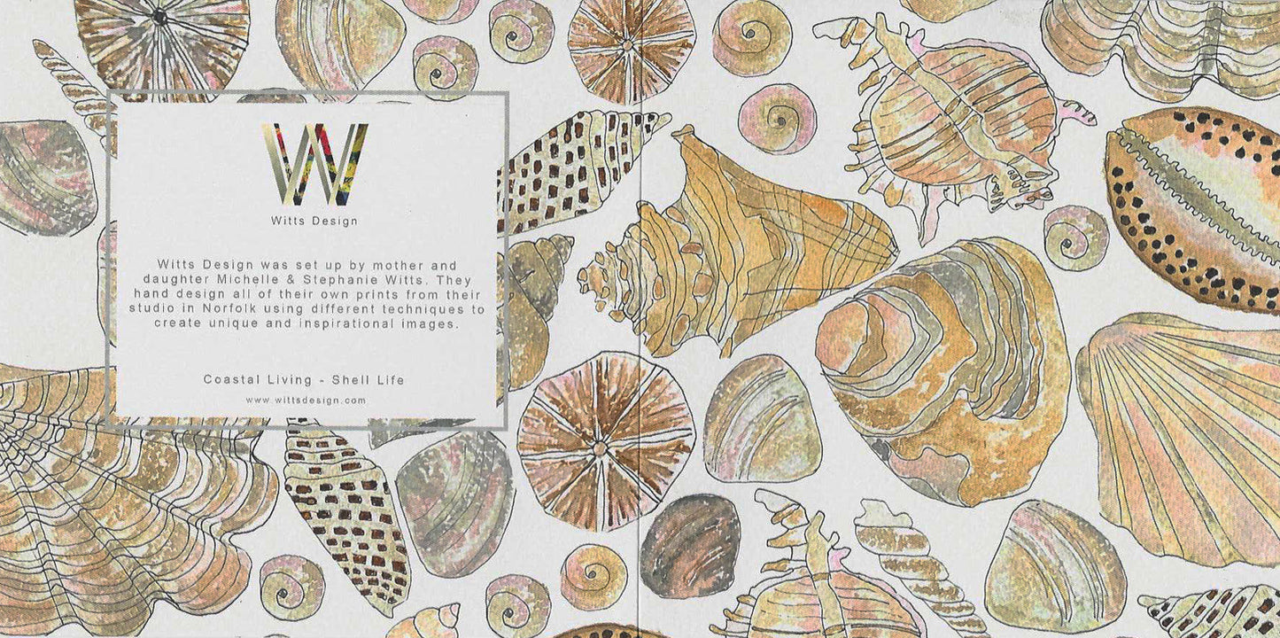 Shells Greeting Card